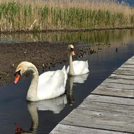 Letniskowe Plusk 펜션 *