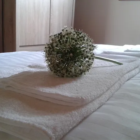 Letniskowe Plusk * Drawno