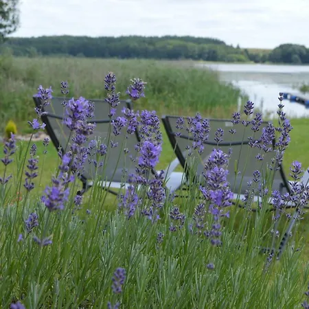 Letniskowe Plusk Drawno