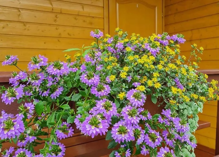 Letniskowe Plusk Дом отдыха