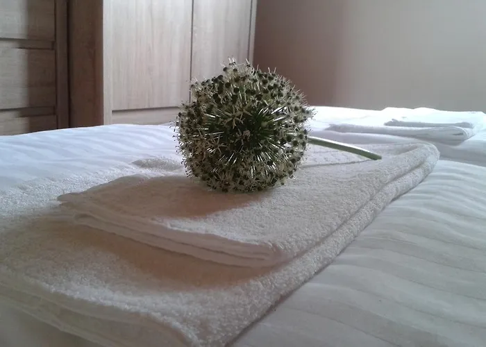 Letniskowe Plusk * Drawno