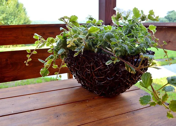 Дом отдыха Letniskowe Plusk *