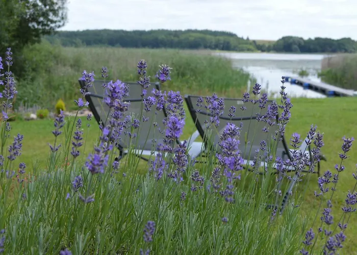 Letniskowe Plusk Drawno